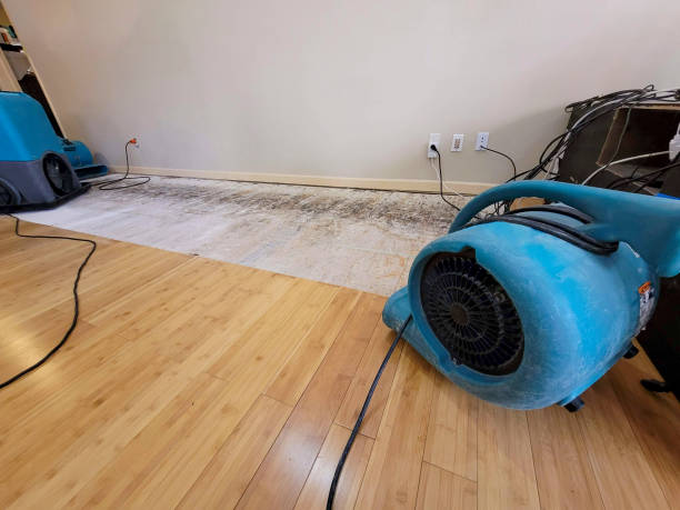 Professional Flood Damage Cleanup technician working in Chagrin Falls, OH